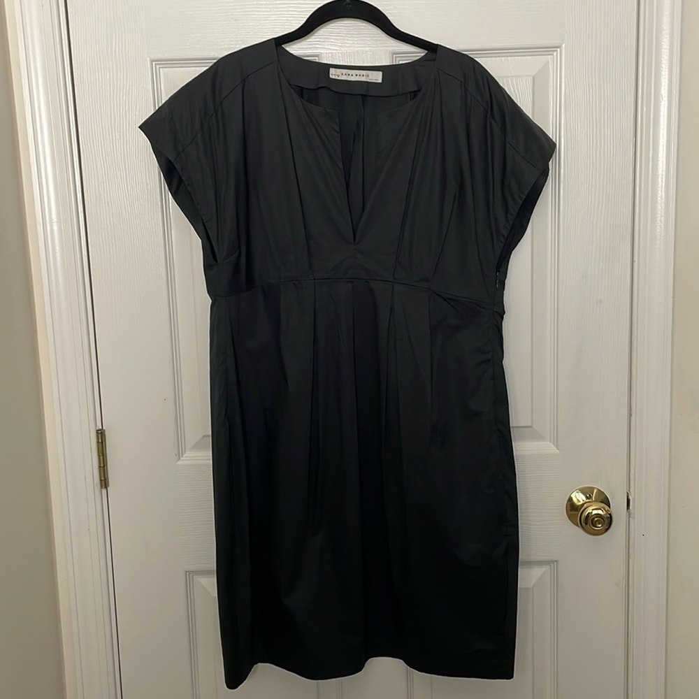 Zara: V-neck Capsleeve Dress